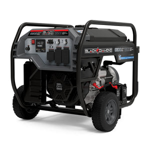 5500-Watt Portable Generator with Co Shield®