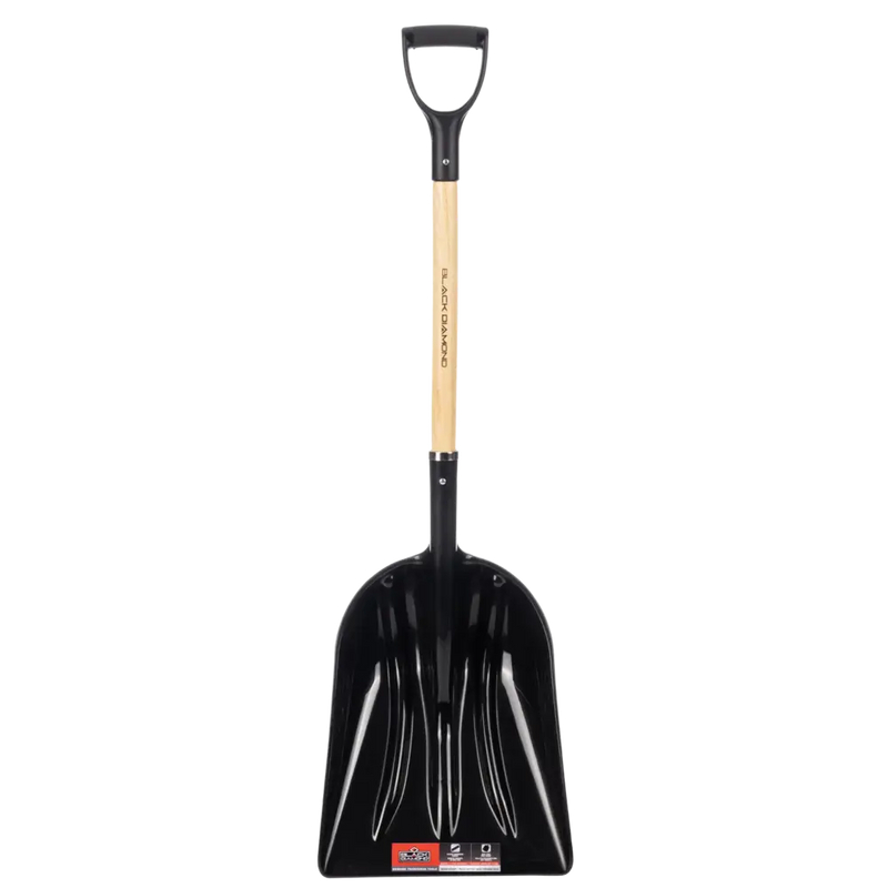 Grain Scoop