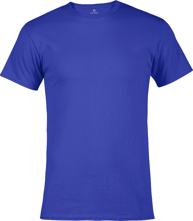 Men's Short Sleeve Crew Neck Tee - Royal