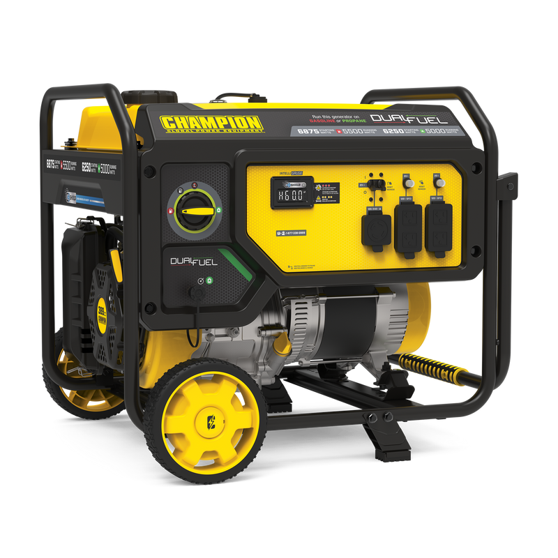 Generator,5500W,DF,CO Shield