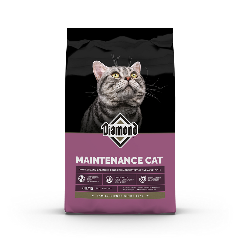 Maintenance Cat 6#