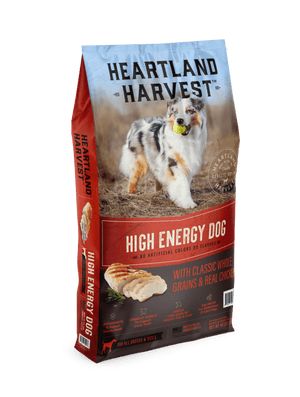 High Energy Dog Dry Food with Classic Whole Grains & Real Chicken