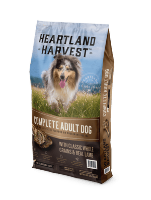 Complete Adult Dog Dry Food with Classic Whole Grains & Real Lamb