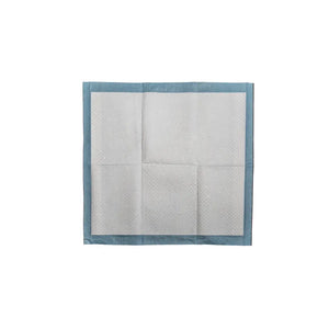 Main St. Pet™ 22" x 22" Pet Training Pads 50 Ct