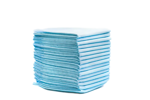 Main St. Pet™ 22" x 22" Pet Training Pads 50 Ct