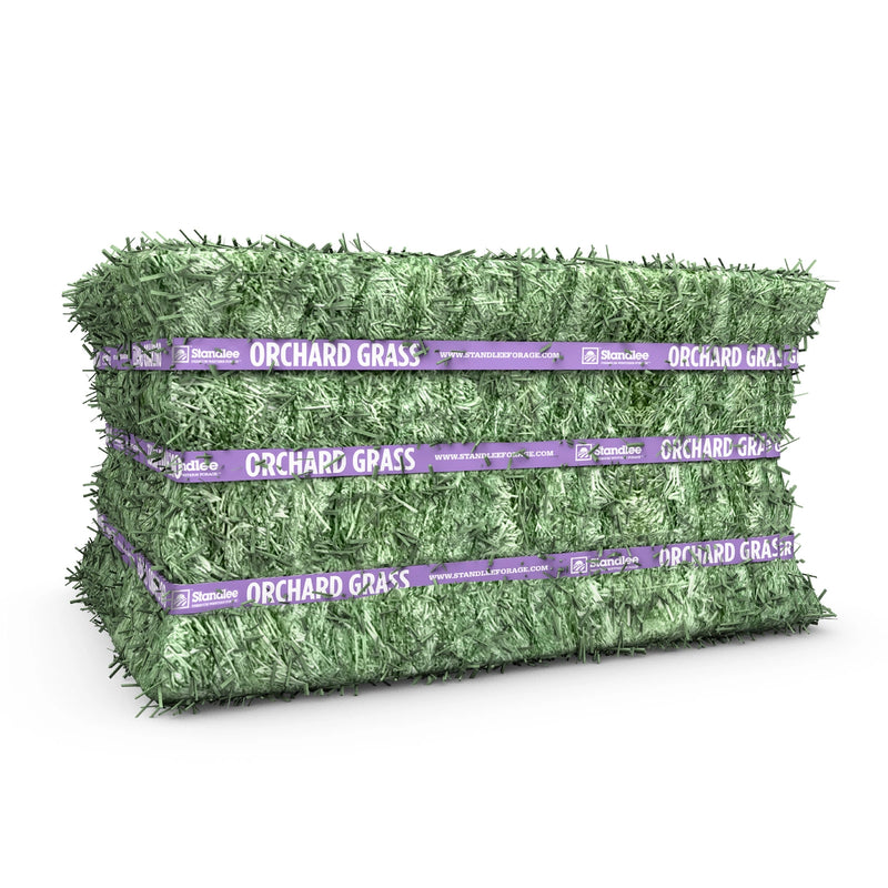Premium Orchard Grass CompBale
