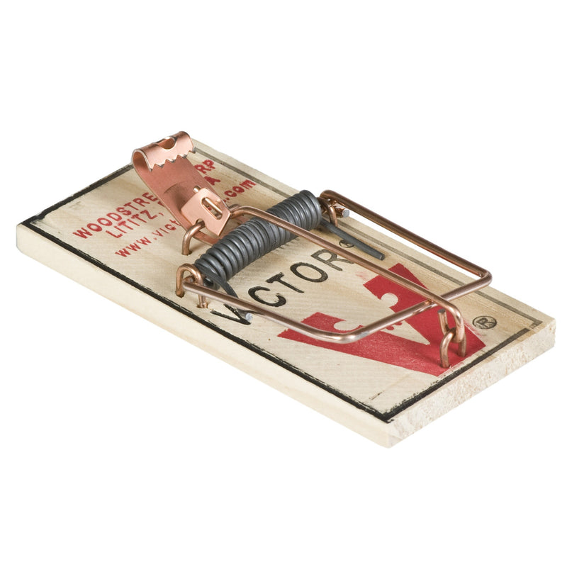 Mouse Trap Bulk