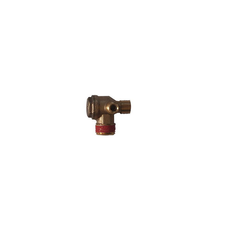 Check Valve