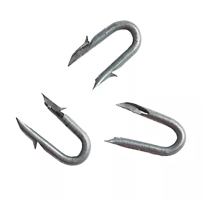 Barbed Fence Staple 8g 1.25" 8#  Bezinal