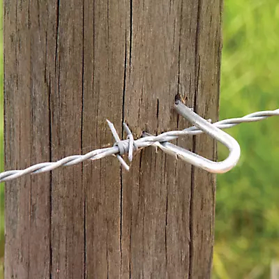Barbed Fence Staple 8g 1.75" 8#  Bezinal