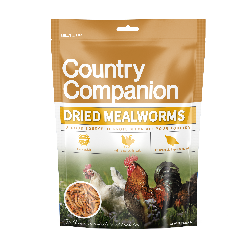 Dried Mealworms