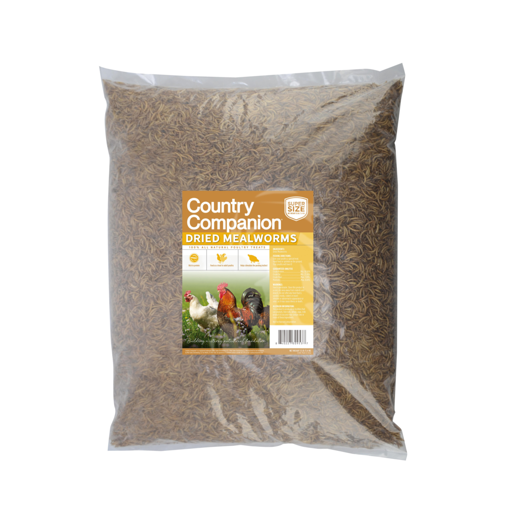 Dried Mealworms