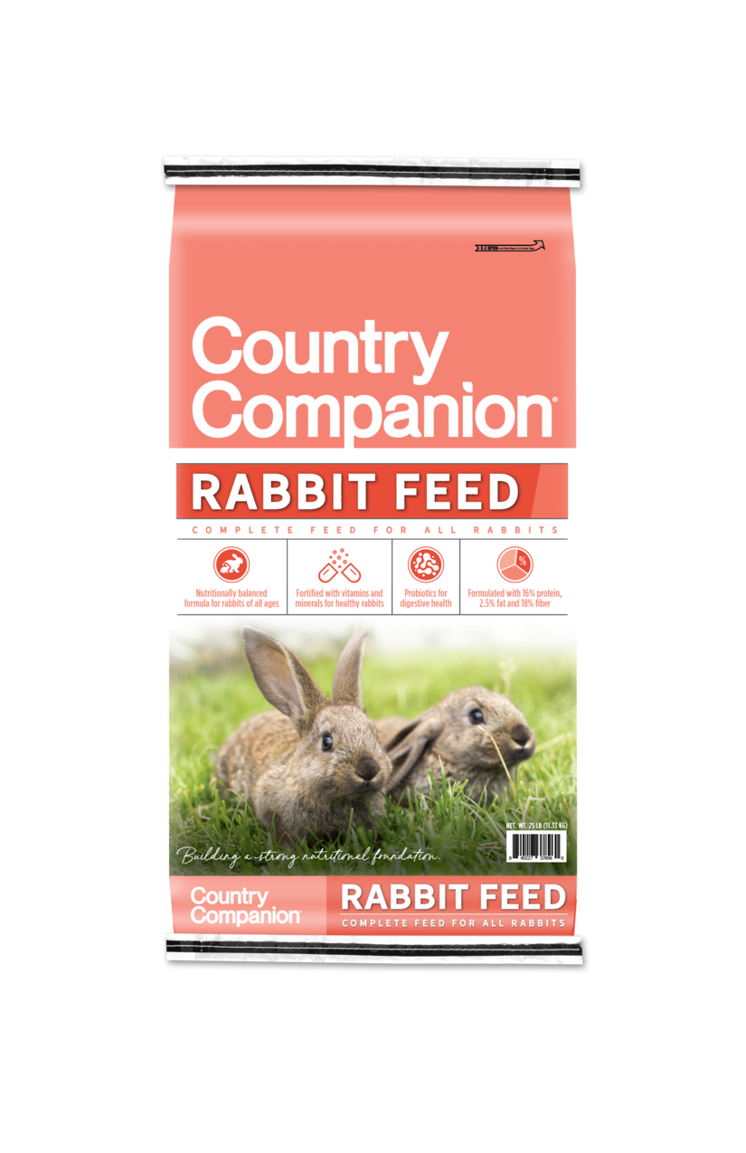 Rabbit Feed