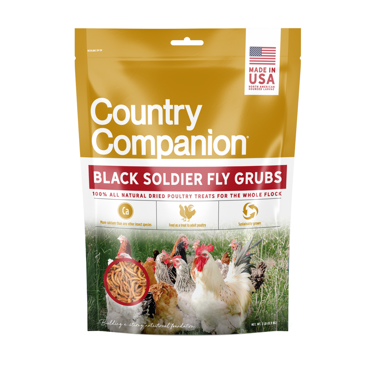 Black Soldier Fly Grubs-Made in USA