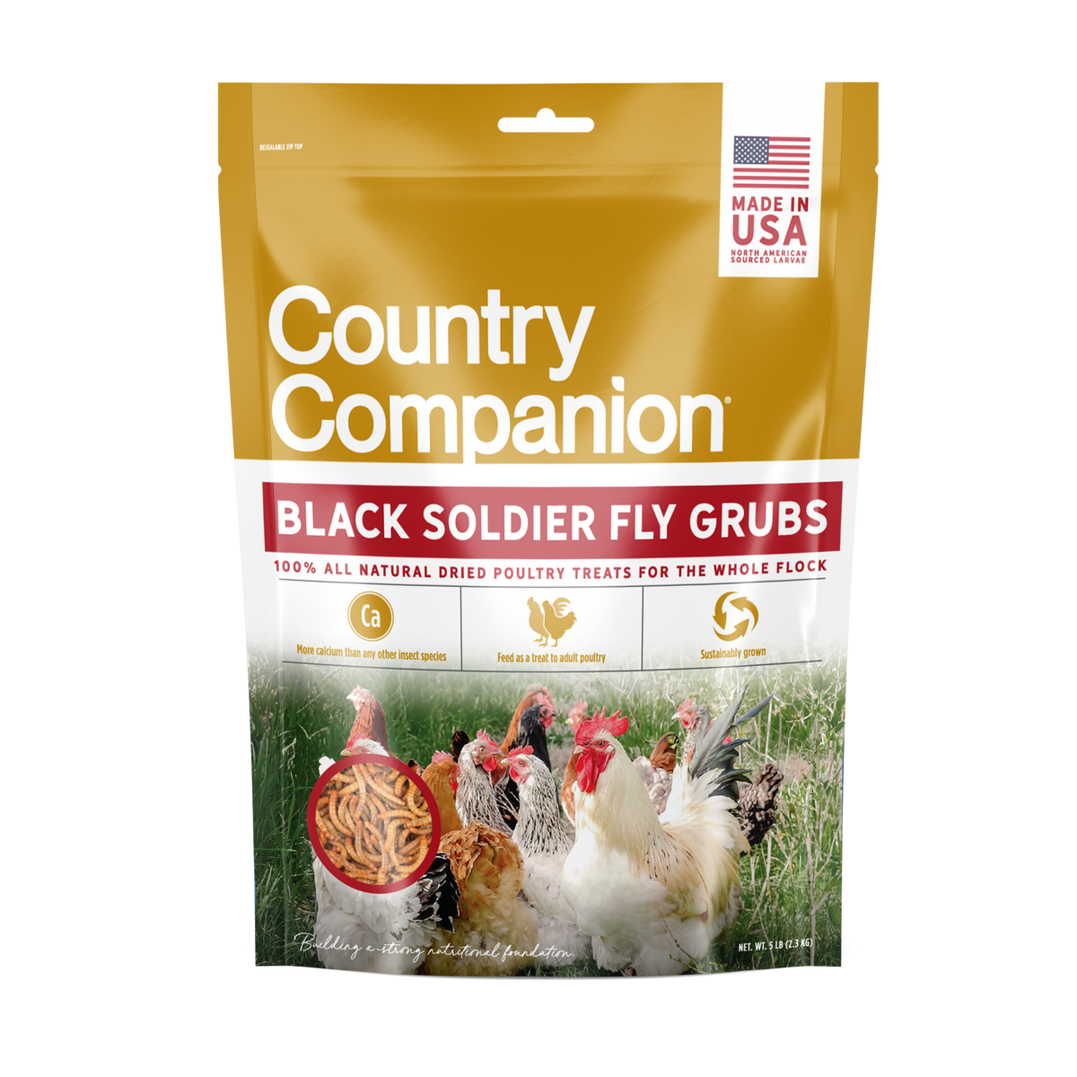 Black Soldier Fly Grubs-Made in USA