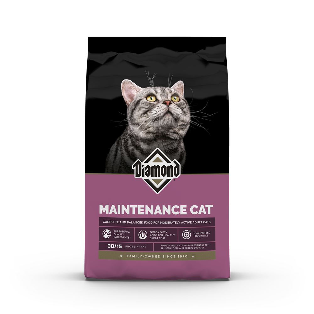 Maintenance Cat 6#