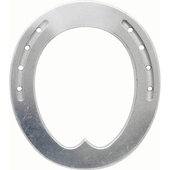 DOUBLE S ALUM,AWEB-1  /10 CT