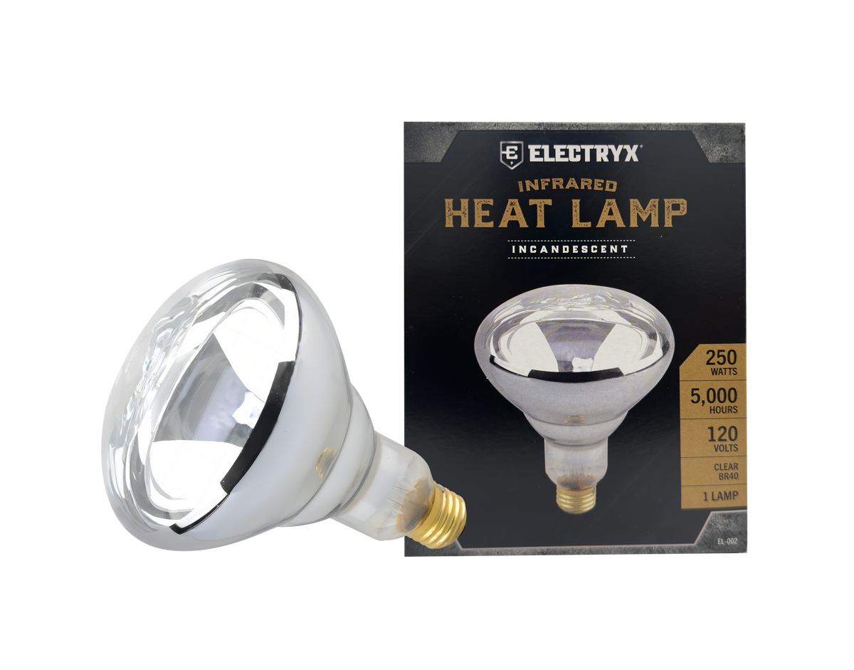 250W Infrared Heat Lamp (Clear BR40)