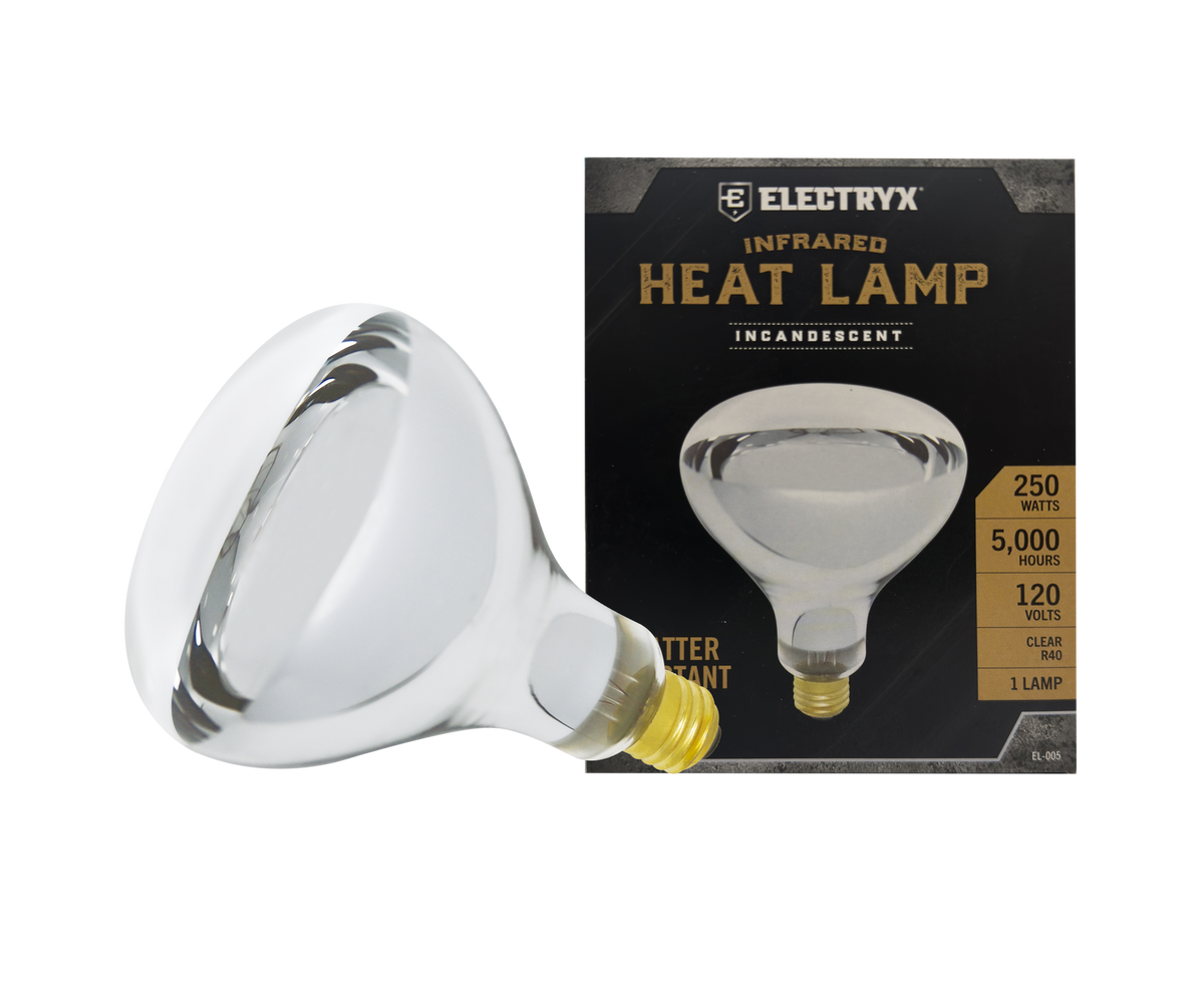 250W Splatter Resistant Infrared Heat Lamp (Clear R40)