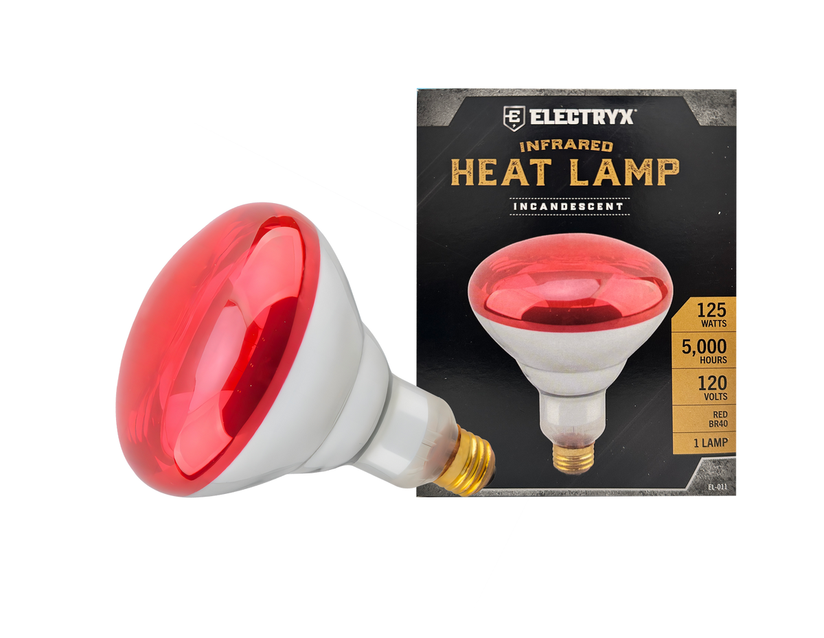 125W Infrared Heat Lamp (Red BR40)