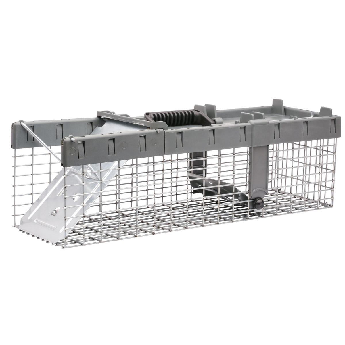 1DR Sqrl Trap 1EA