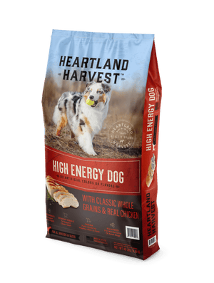 High Energy Dog Dry Food with Classic Whole Grains & Real Chicken