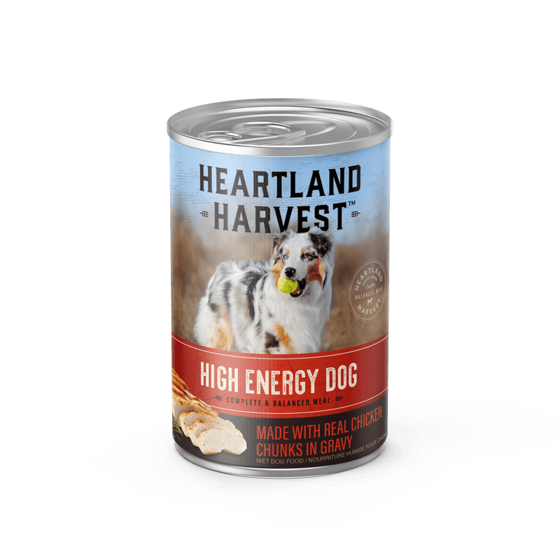 High Energy Wet Dog Food with Real Chicken Chunks in Gravy