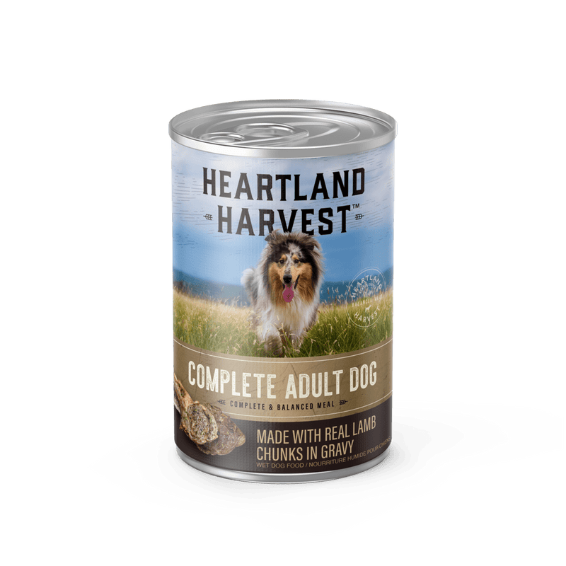 Complete Adult Wet Dog Food with Real Lamb Chunks in Gravy