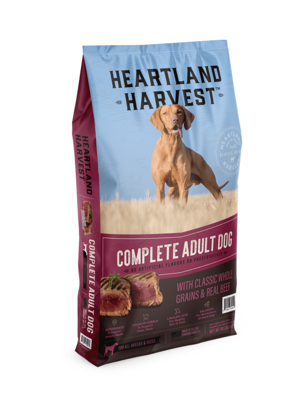 Complete Adult Dog Dry Food with Classic Whole Grains & Real Beef