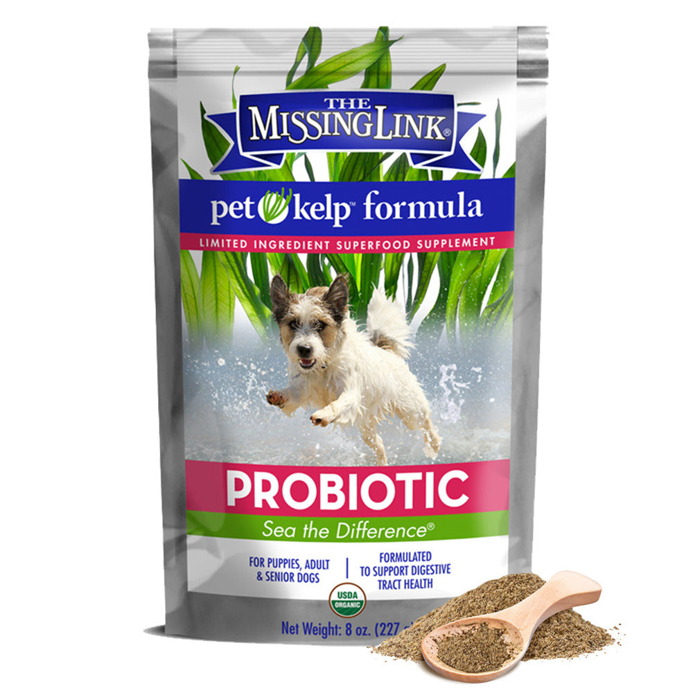 Pet Kelp®Probiotic Supp Dogs 8oz Powder