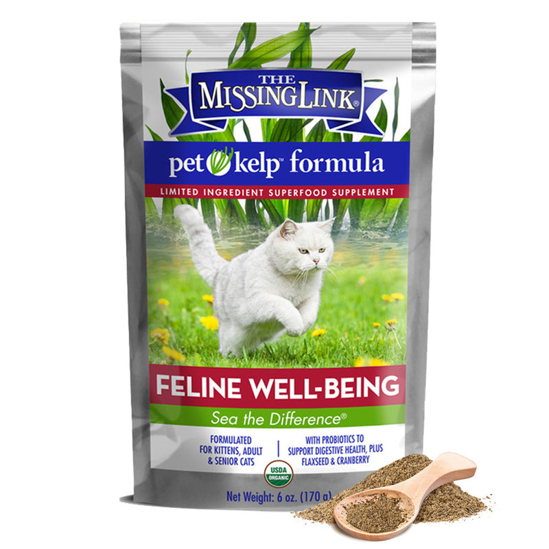 Feline Wellness Formula Supp 6oz Powder
