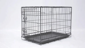 Main St. Pet™ 42" 1-Door Folding Pet Crate