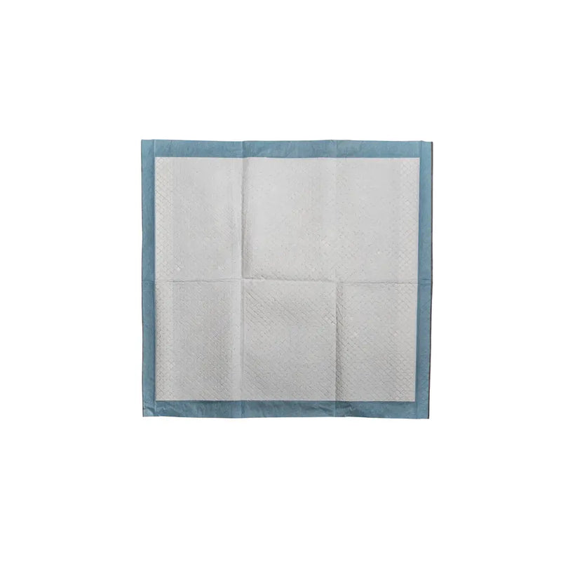 Main St. Pet™ 22" x 22" Pet Training Pads 50 Ct