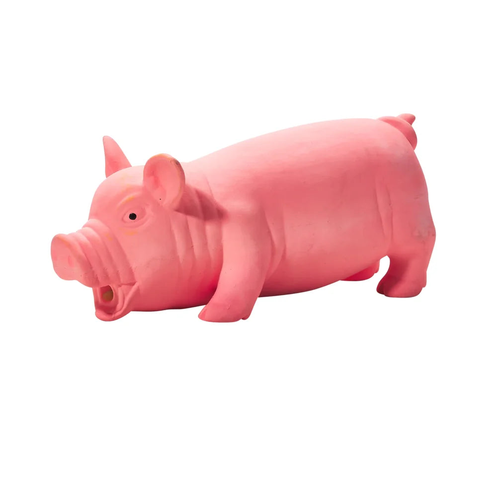 Main St. Pet™ Grunting Pig Latex Dog Toy