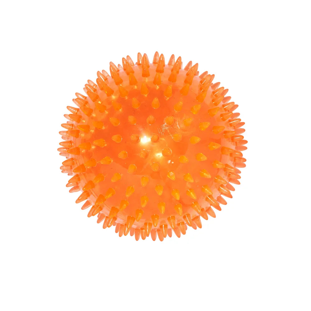 Main St. Pet™ 5" Spiky Bouncy Ball Dog Toy