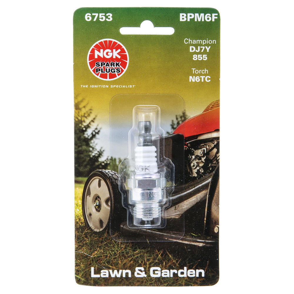 BPM6F Blyb Spark Plug