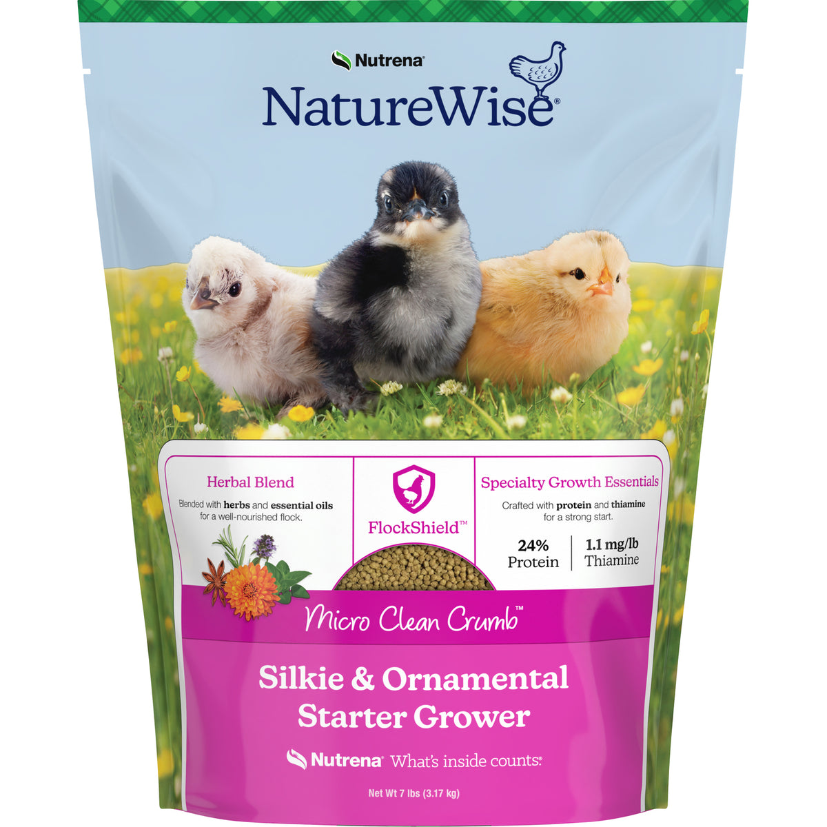 Nw Silkie & Ornamt Chick Str