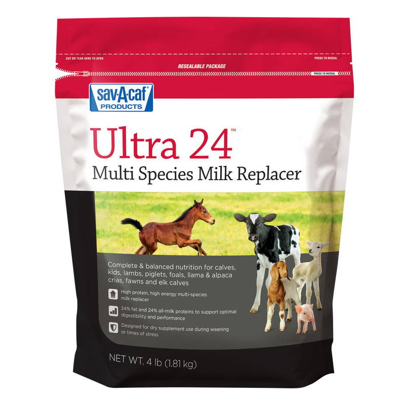 Sac Gra Ultra 24-24 Am  Nm