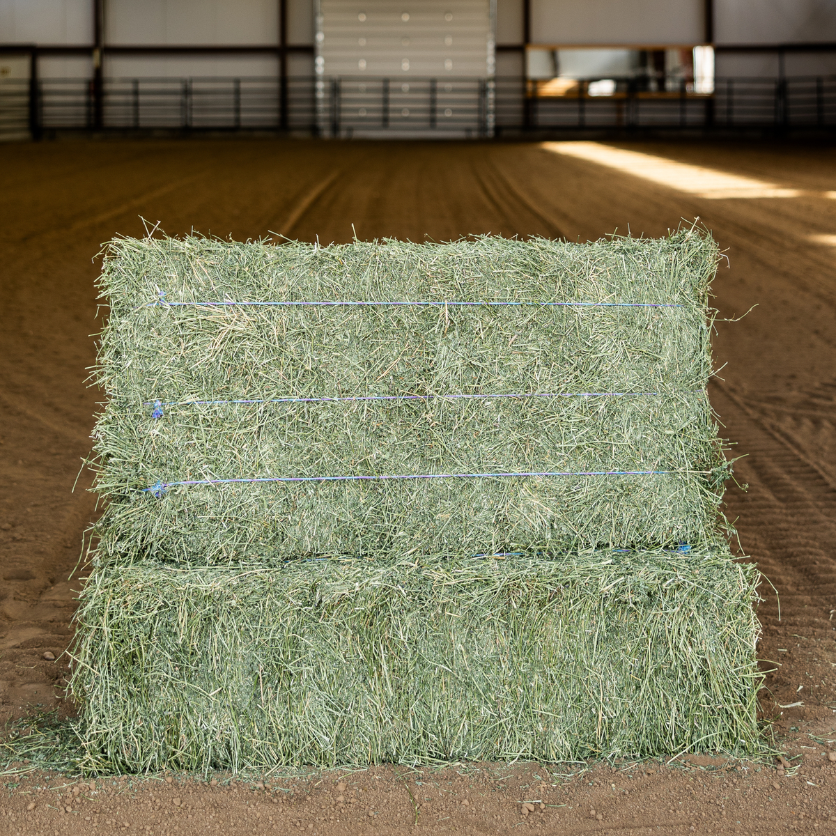 Standlee Alfalfa 3 Tie