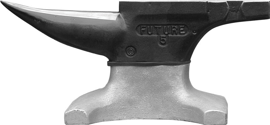 FUTURE ANVIL 5 55 lb/25 kg
