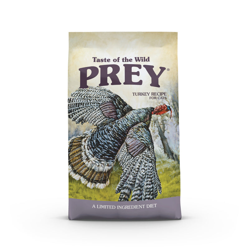 Cat Prey Turkey 6#