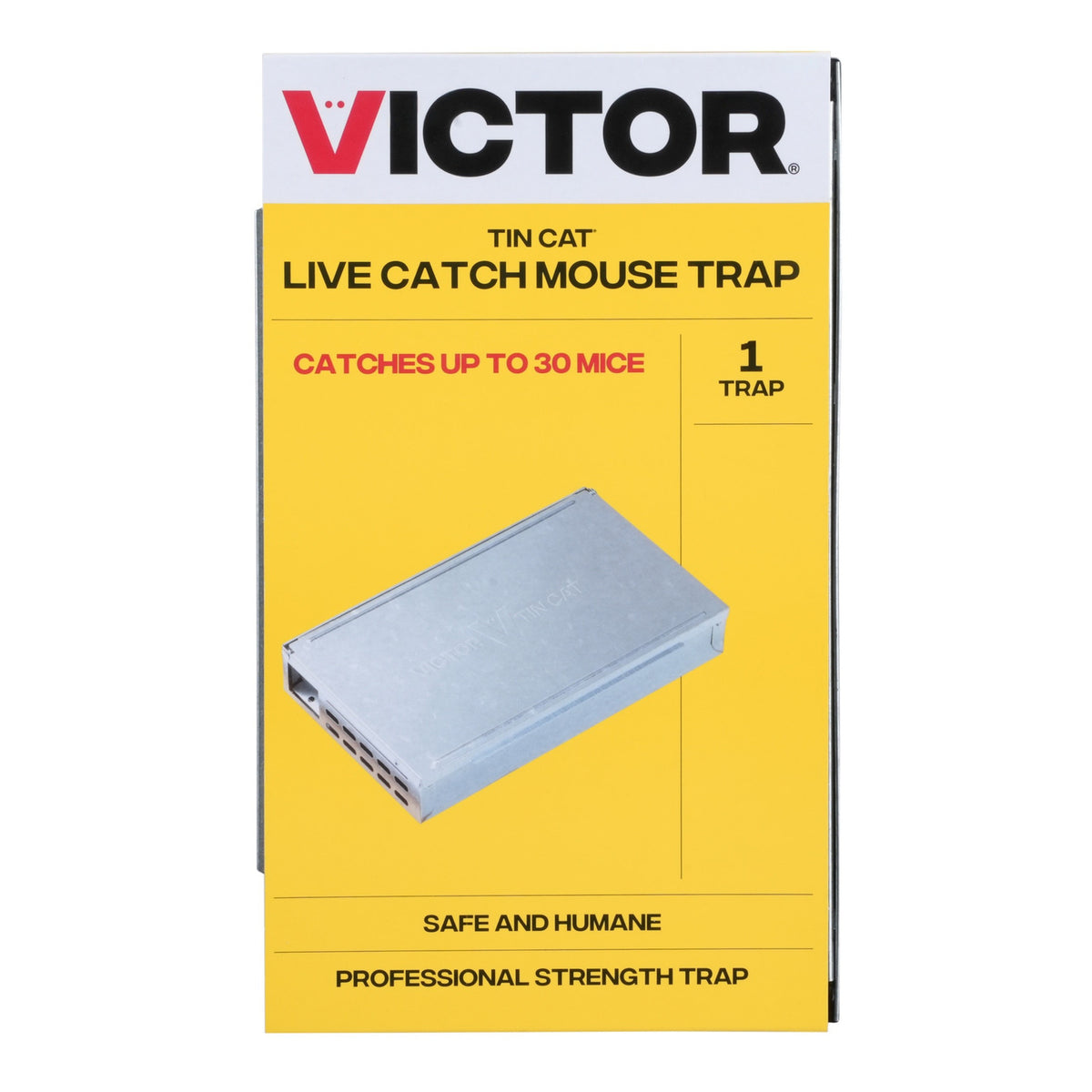 Tin Cat Msetrp Solid Top