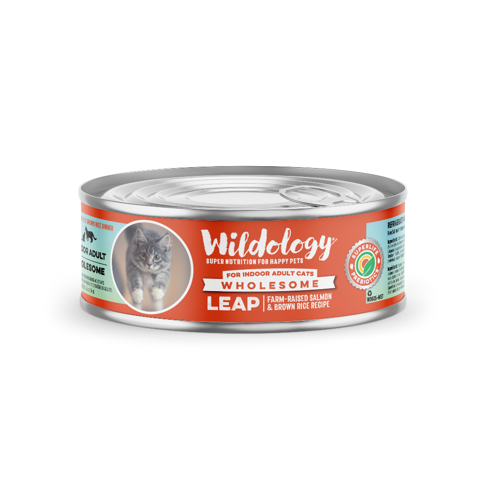 Leap Wet Cat Food - Farm-Raised Salmon & Brown Rice Recipe