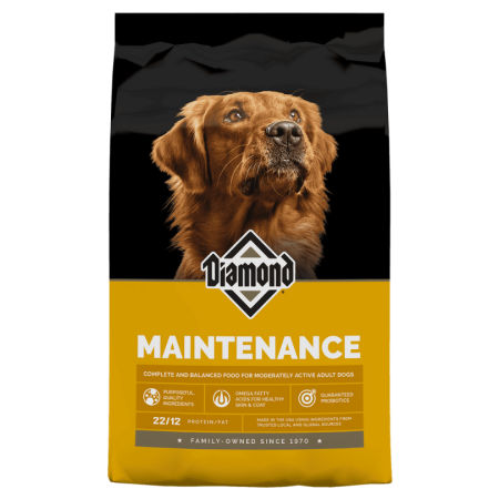 Maintenance Dog 50#